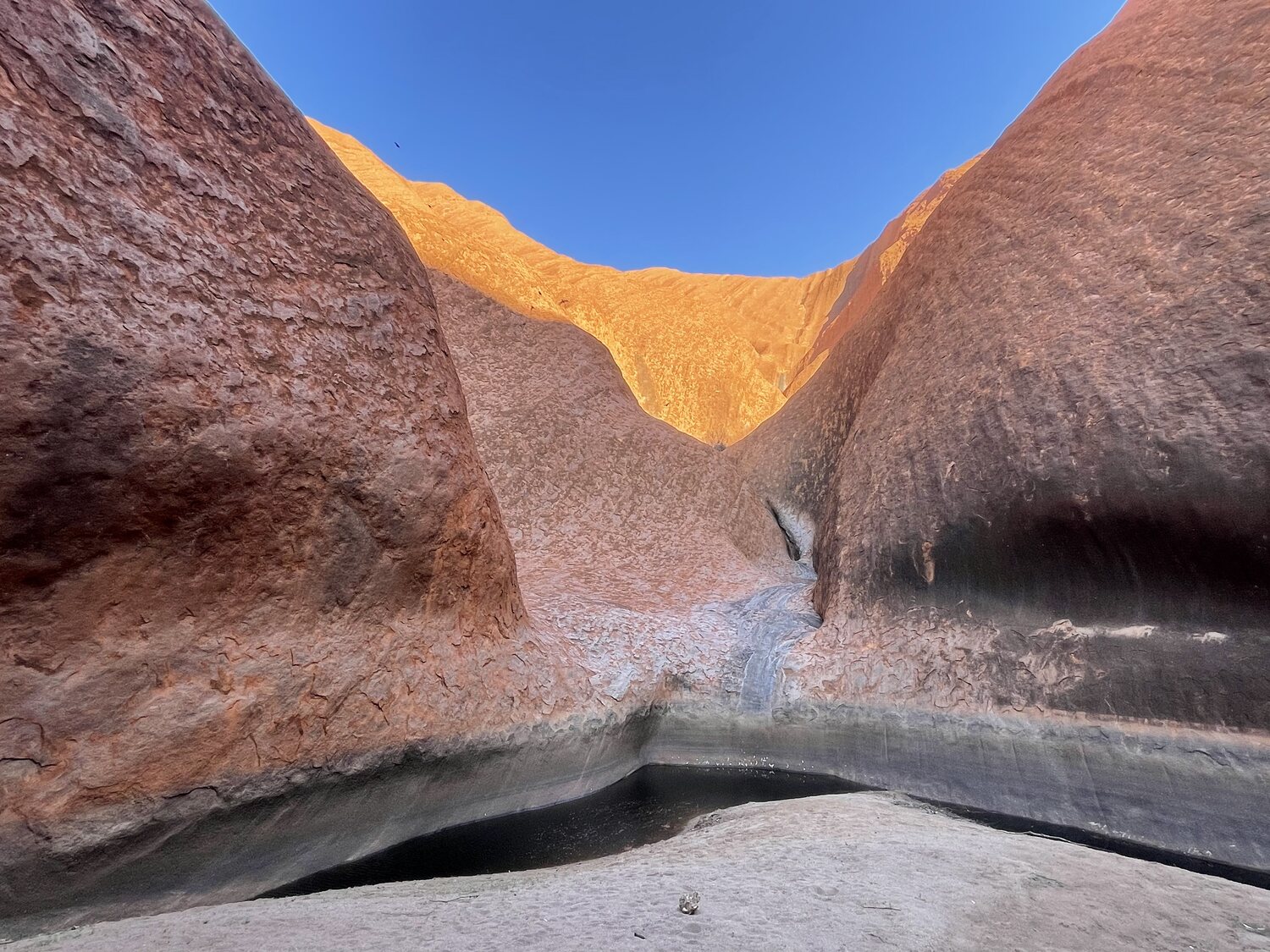 Kata Tjuta domes
